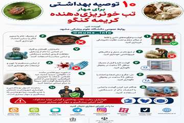 info (17)